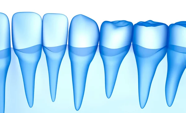 Digitalização Dentes Transparente Visualização Raios Ilustração — Fotografia de Stock