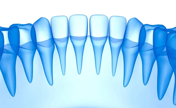 Przejrzyste Zęby Skanowania Xray View Ilustracja — Zdjęcie stockowe