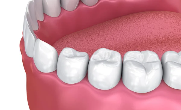 Ústech Dásní Zubů Lékařsky Přesná Zub Ilustrace — Stock fotografie