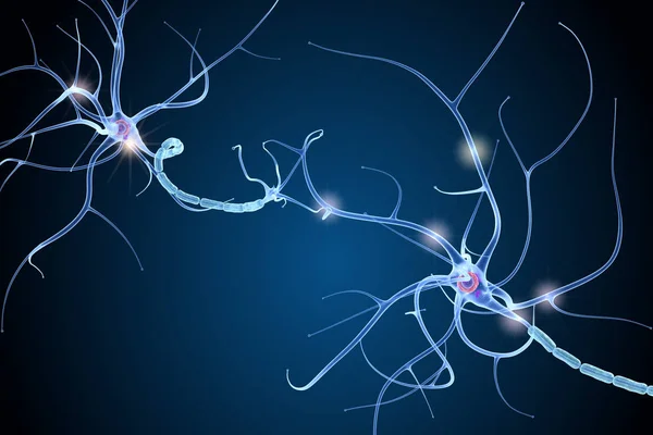 Ανατομία Των Νευρικών Κυττάρων Στις Λεπτομέρειες Εικονογράφηση — Φωτογραφία Αρχείου