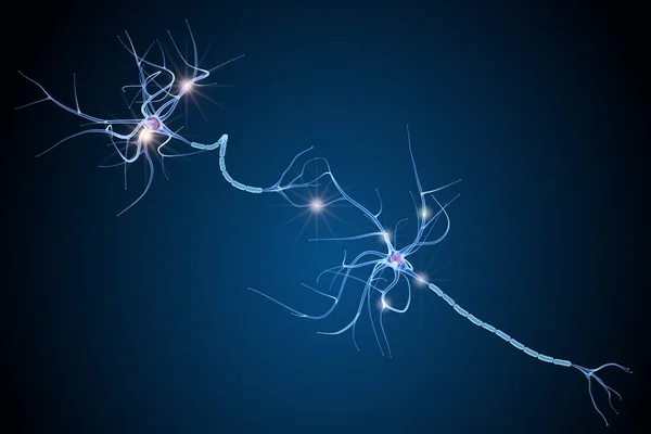 Nerve cell anatomy in details. 3D illustration