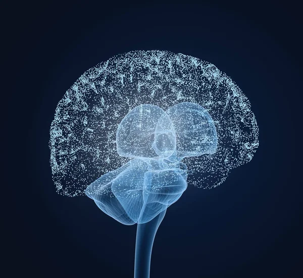 Hersenen Impulsen Denken Prosess — Stockfoto