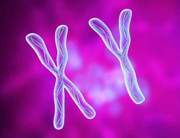 Chromosome Molécule Brins Adn Illustration — Photo