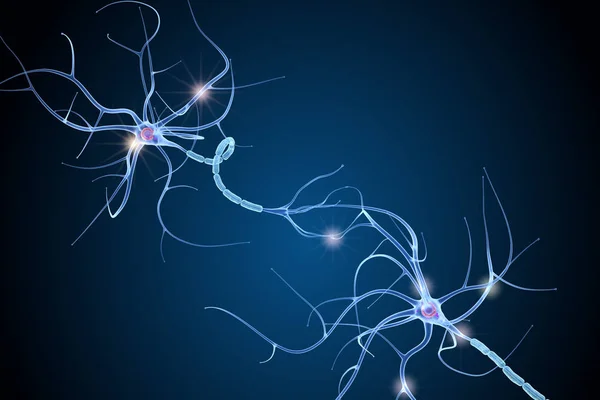 詳細に神経細胞解剖学 3Dイラスト — ストック写真