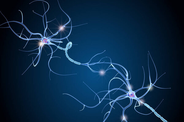 Nerve cell anatomy in details. 3D illustration