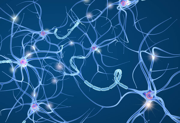 Nerve cell anatomy in details. 3D illustration