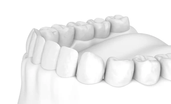 口のガムと歯ホワイトスティ3Dイラスト — ストック写真