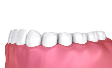 Ağzına sakız ve dişler. Tıbben doğru diş 3d çizim