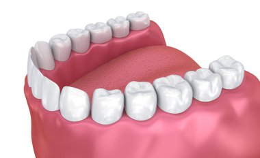 Ağzına sakız ve dişler. Tıbben doğru diş 3d çizim