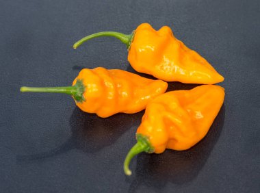 Bonda Ma Jacques sarı acı biber