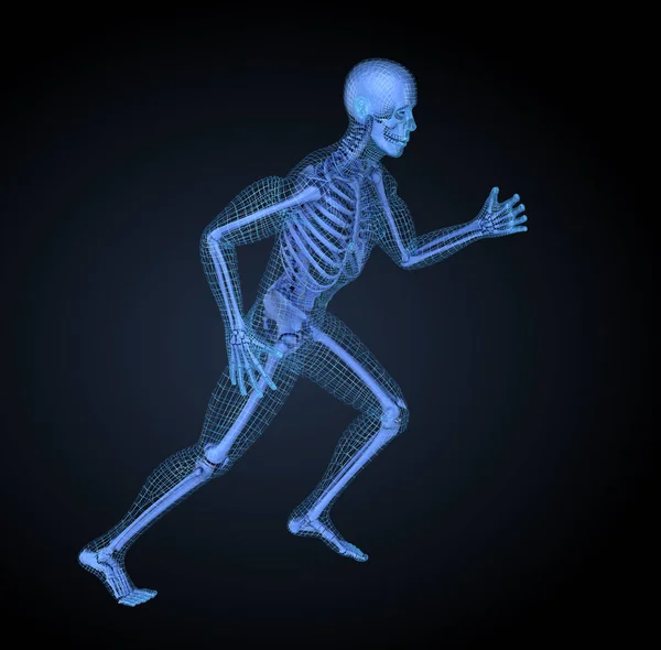 Running man, 3D mesh other skeleton model. 3D illustration concept