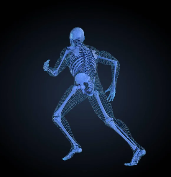 Running man, 3D mesh other skeleton model. 3D illustration concept