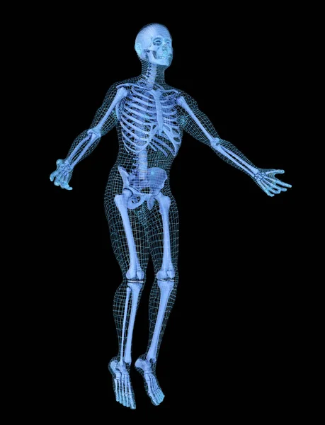 Man Doing Yoga Mesh Other Skeleton Model Illustration Concept — Stock Photo, Image