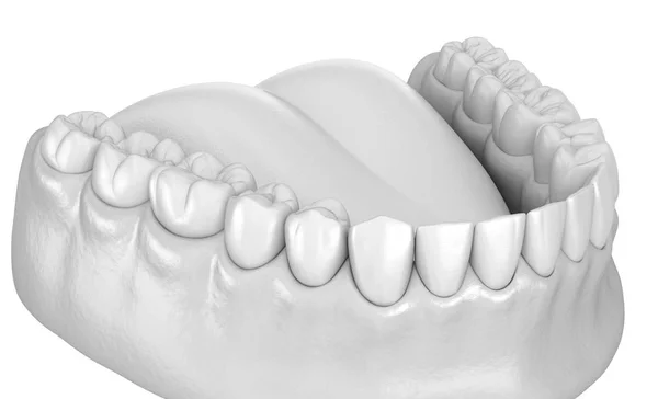 Мандибулярная Человеческая Жвачка Анатомия Зубов Медицинская Точность Трехмерной Иллюстрации Зубов — стоковое фото