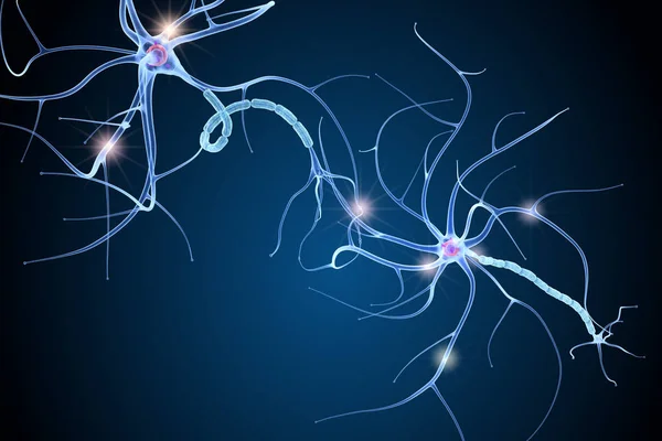 Анатомия Нервных Клеток Деталях Иллюстрация — стоковое фото