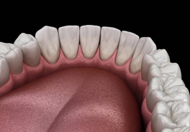 İnsan çikleti ve dişleri. Tıbbi olarak doğru diş 3D illüstrasyon