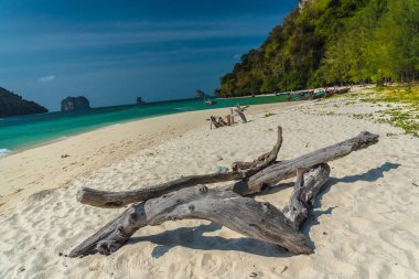 Güzel tropikal plaj, Tayland Poda adası, Krabi eyaleti, turist turu.