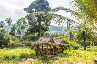 Koh Samui Adası Tayland geleneksel dinlenme yeri