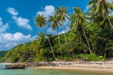 Koh Samui vahşi plaj, Tayland