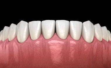 İnsan çikleti ve dişleri. Tıbbi olarak doğru diş 3D illüstrasyon