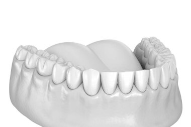 Mandibular insan diş eti ve diş anatomisi. Tıbbi olarak doğru diş 3d illüstrasyon