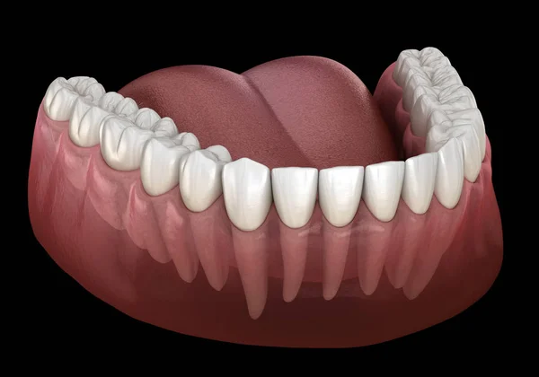 Мандибулярная Человеческая Жвачка Зубы Медицинская Точность Трехмерной Иллюстрации Зубов — стоковое фото