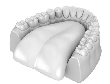 Mandibular insan diş eti ve diş anatomisi. Tıbbi olarak doğru diş 3d illüstrasyon