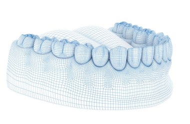Mandibular insan diş eti ve dişlerin morfolojisi. Tel 3d model illüstrasyon