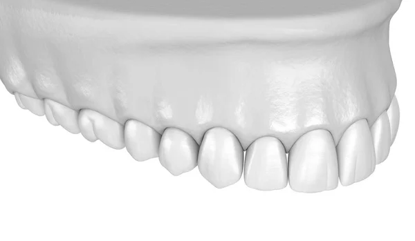 Szczękowej Ludzkiej Gumy Zębów Białym Stylu Medycznie Dokładna Ilustracja Zębów — Zdjęcie stockowe
