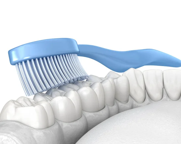 Spazzolino Pulizia Denti Isolato Bianco Illustrazione Clinicamente Accurata Dell Igiene — Foto Stock