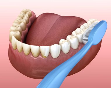 Diş fırçası diş temizliği. Ağız hijyeninin tıbbi açıdan doğru üç boyutlu çizimi.