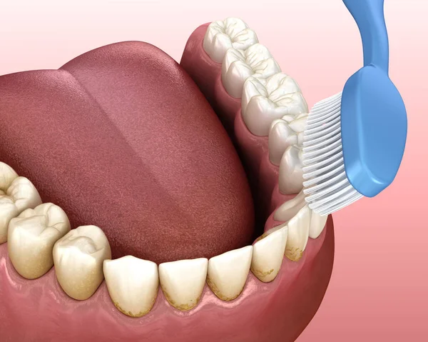 Tandborstens Tandborstning Medicinskt Korrekt Illustration Munhygien — Stockfoto