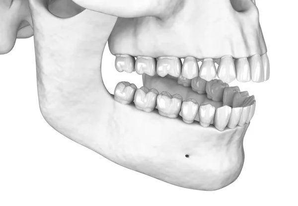 人类的白色雕塑 3D插图 — 图库照片