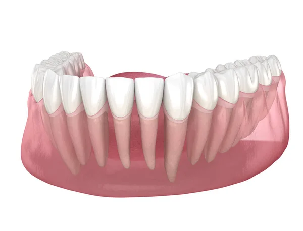 Morfologia Ludzkich Zębów Medycznie Dokładna Ilustracja Zęba — Zdjęcie stockowe