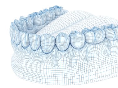 Mandibular insan diş eti ve dişlerin morfolojisi. Tel 3d model illüstrasyon