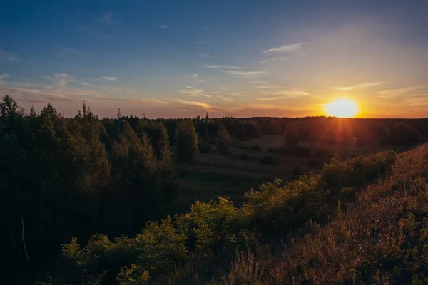 Yaz günbatımı üzerinde orman ufukta