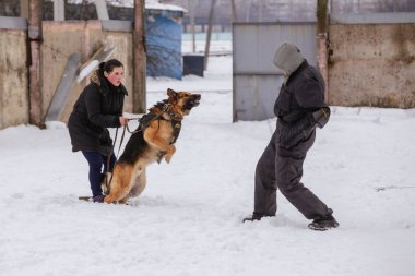 Genç kız ile bir saldırgan köpek Alman kurdu. Gomel, Belaru