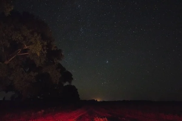 Night landscape with stars in the sky