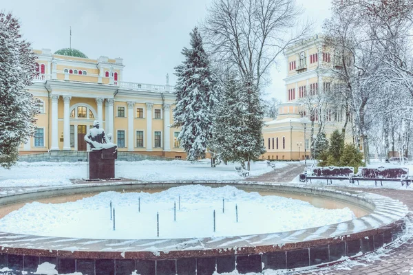 Paskevich a Rumyantsev palác v městském parku v zimě. GOME — Stock fotografie