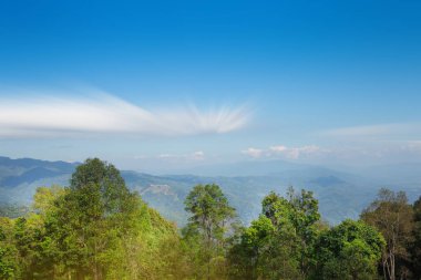 Dağlar yeşil çimenler ve mavi gökyüzü manzarası