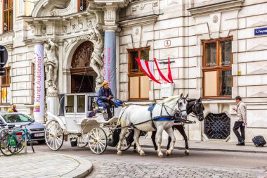 Vienna, Avusturya - 26 Haziran 2013: Street view merkezi Viyana taşıma ve beyaz at, Avusturya