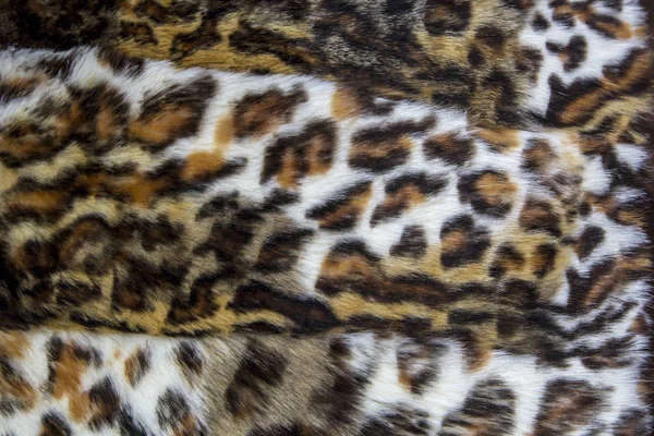 Leopardo Jaguar Pele Com Manchado Textura Pele Close — Fotografia de Stock