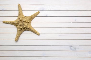 Denizyıldızı düz beyaz ahşap zemin üzerinde yatıyordu, kopya alanı