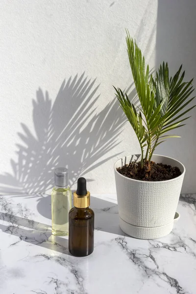 Cosmetische Huidverzorgingsproducten Marmeren Achtergrond Met Palm Bladeren Schaduw Glazen Fles — Stockfoto