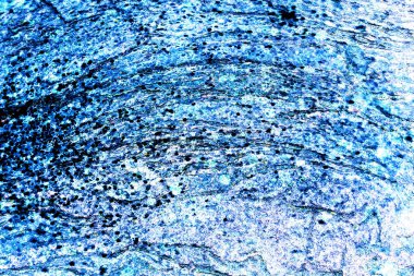 Mavi ve beyaz mermer doku arka plan. Antik vintage grunge zemin dekoratif taş iç.