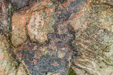 Kahverengi ve altın mermer doku arka plan. Trendy yaratıcı tasarım