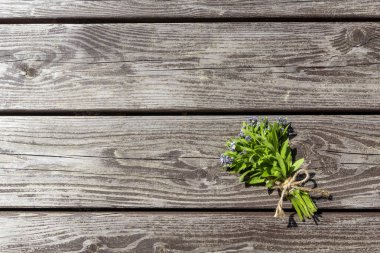 Eski kahverengi ahşap arka plan üzerinde mavi çiçek küçük buket (unut-me-nots), kopya alanı