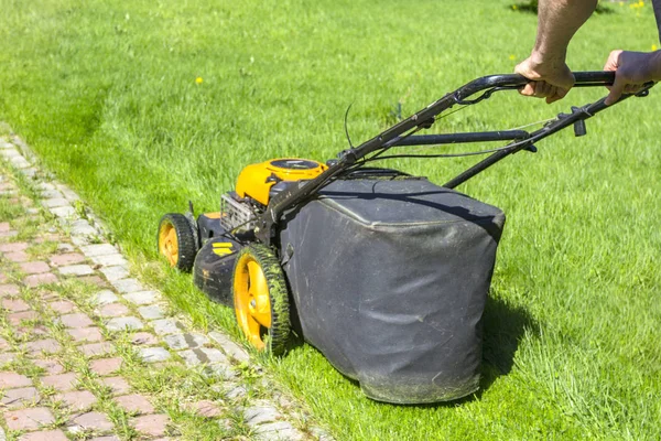 Man Mows Grass Lawn Mower Sunny Morning Garden — Stock Photo, Image