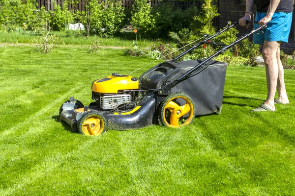 Uomo Falcia Erba Con Tosaerba Mattina Sole Giardino Immagine Stock