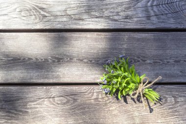 Eski kahverengi ahşap arka plan, kopya alanı üzerinde güneş ışığında mavi çiçek küçük bir buket (unut-me-nots)